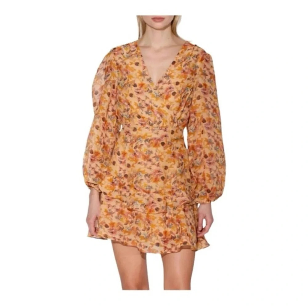 Walter Baker Mishka Mini Ruffle Floral‎ Dress